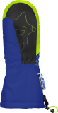 Reusch Maxi R-TEX® XT Mitten 4985515 4507 green blue back